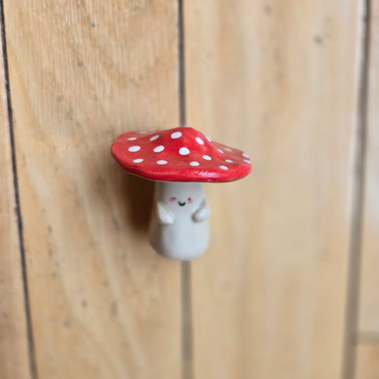 Red Top Mushroom Plant Pal