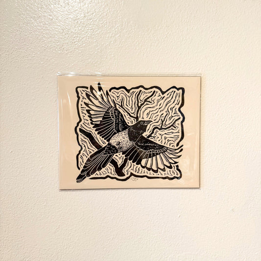"Magpie" 8 x 10 Black Ink on Cream