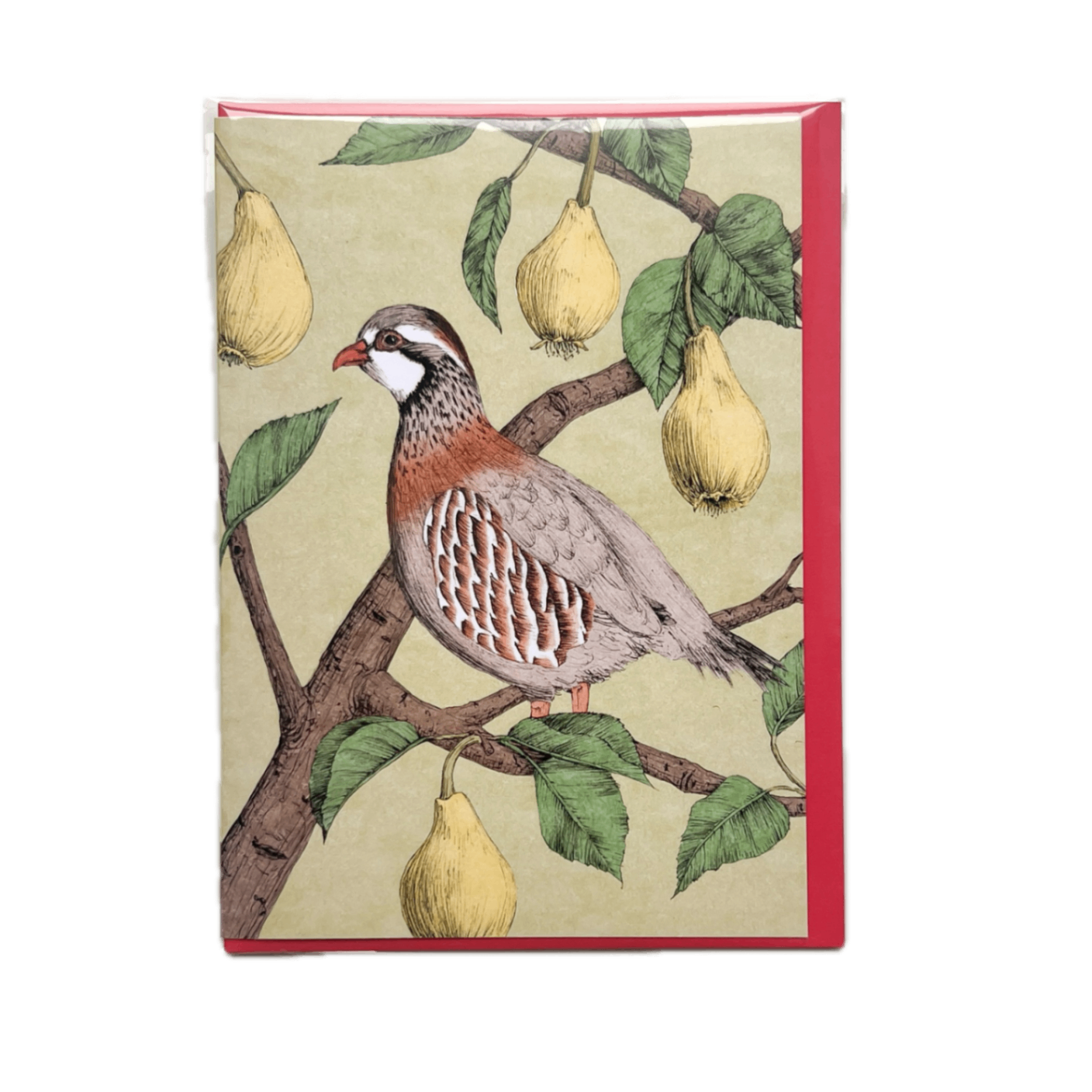 A Partridge in a Pear Tree Card 