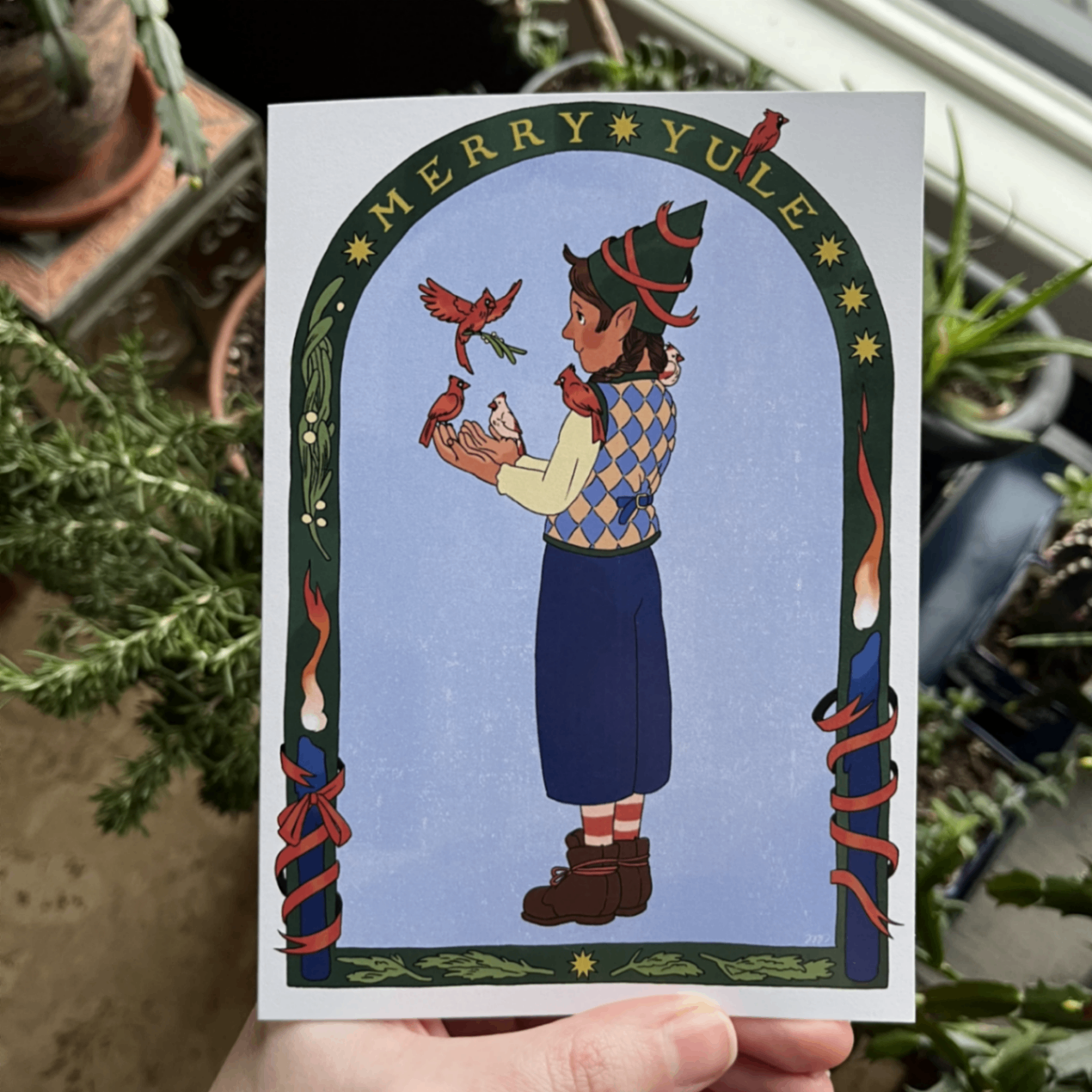 Cardinal - Yule Birders