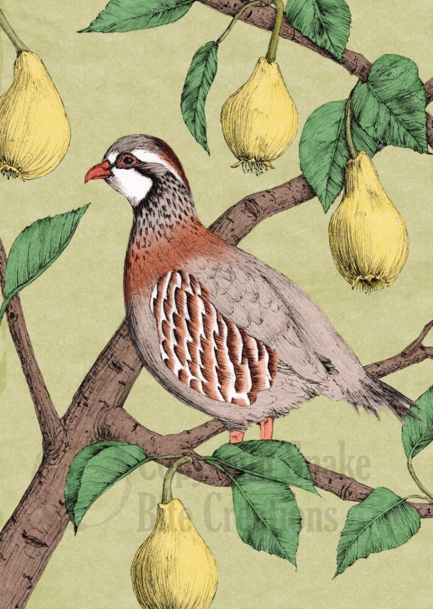 Partridge in a Pear Tree Card