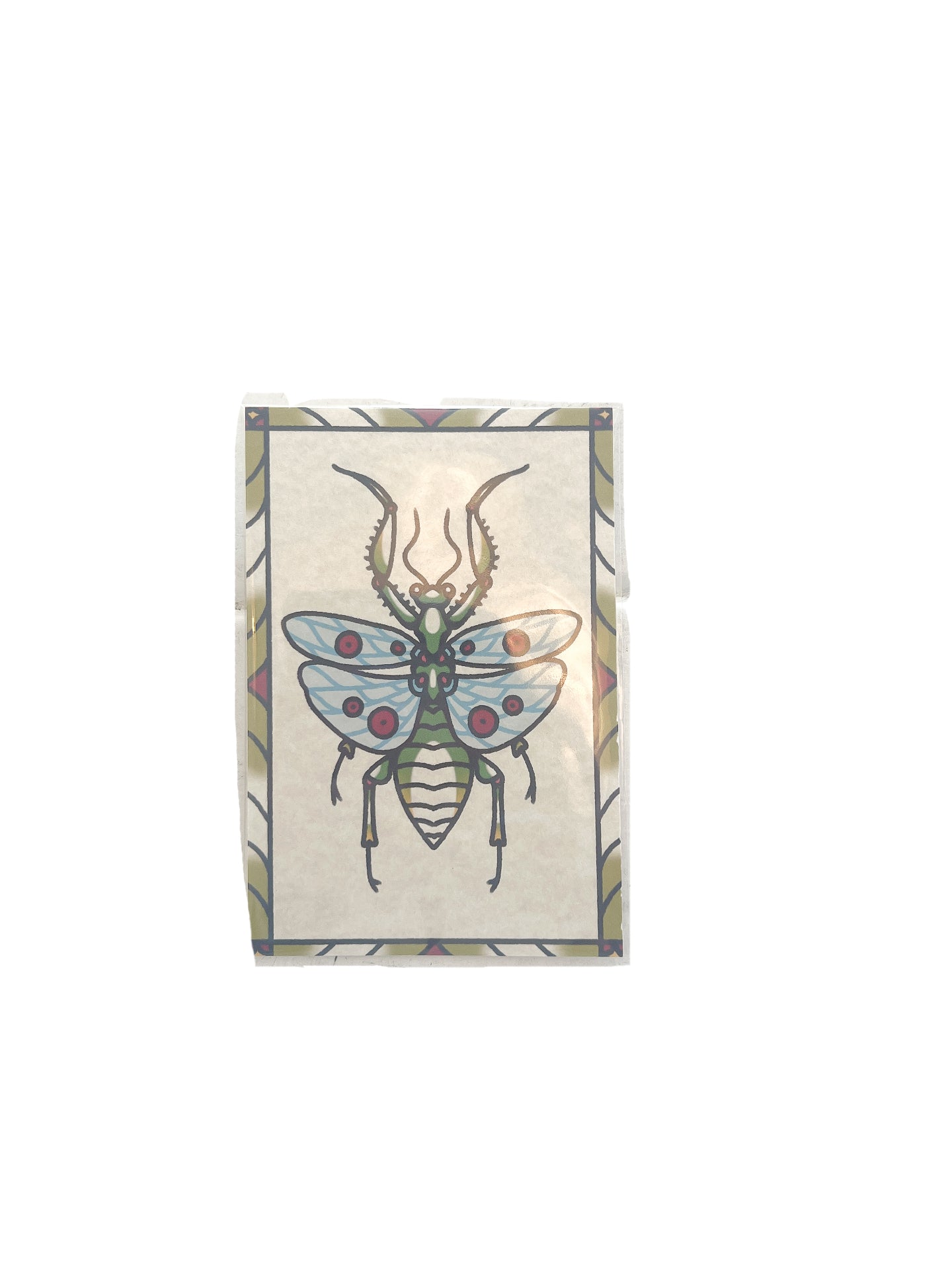 4x6 Mantis Print