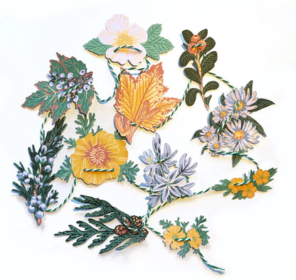 Pacific Northwest Native Plants Mini Paper Garland 