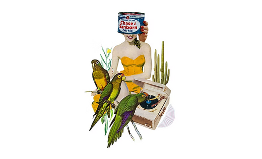 “Bird Is The Word”