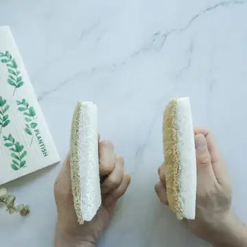 Eco Sponge