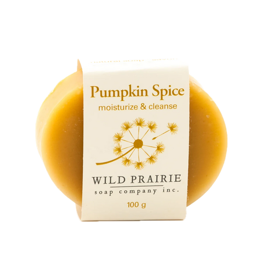Pumpkin Spice Soap Bar